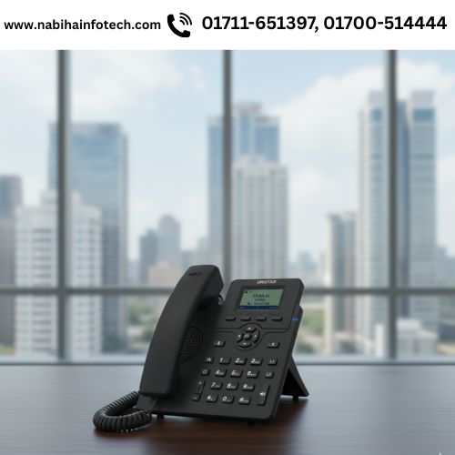 C60UP Entry Level POE DINSTAR IP Phone With Adapter